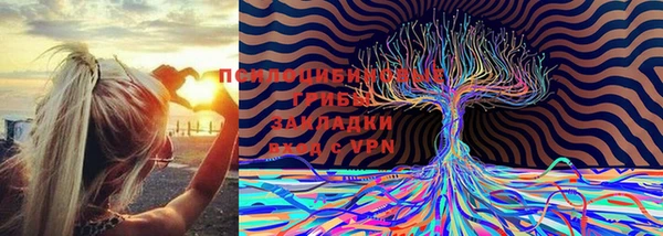 прущая мука Абдулино